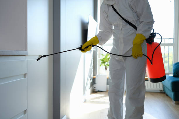 Best Residential Mold Remediation in Shannon, MS